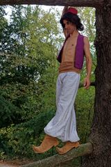 Aladdin preview 3