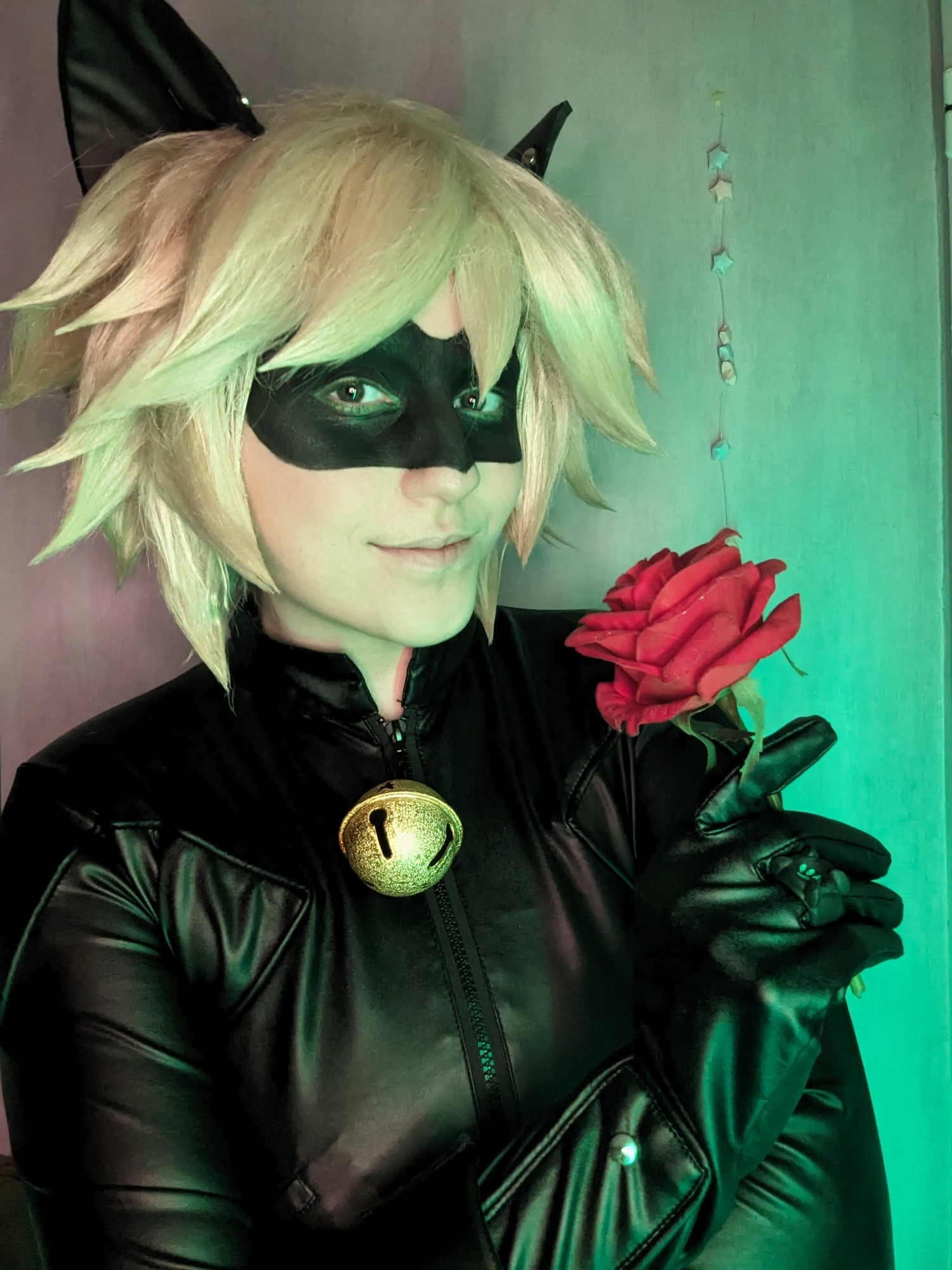 Chat noir — photo 10