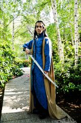 Elrond preview 2