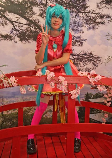 Hotaru - Miku wxs