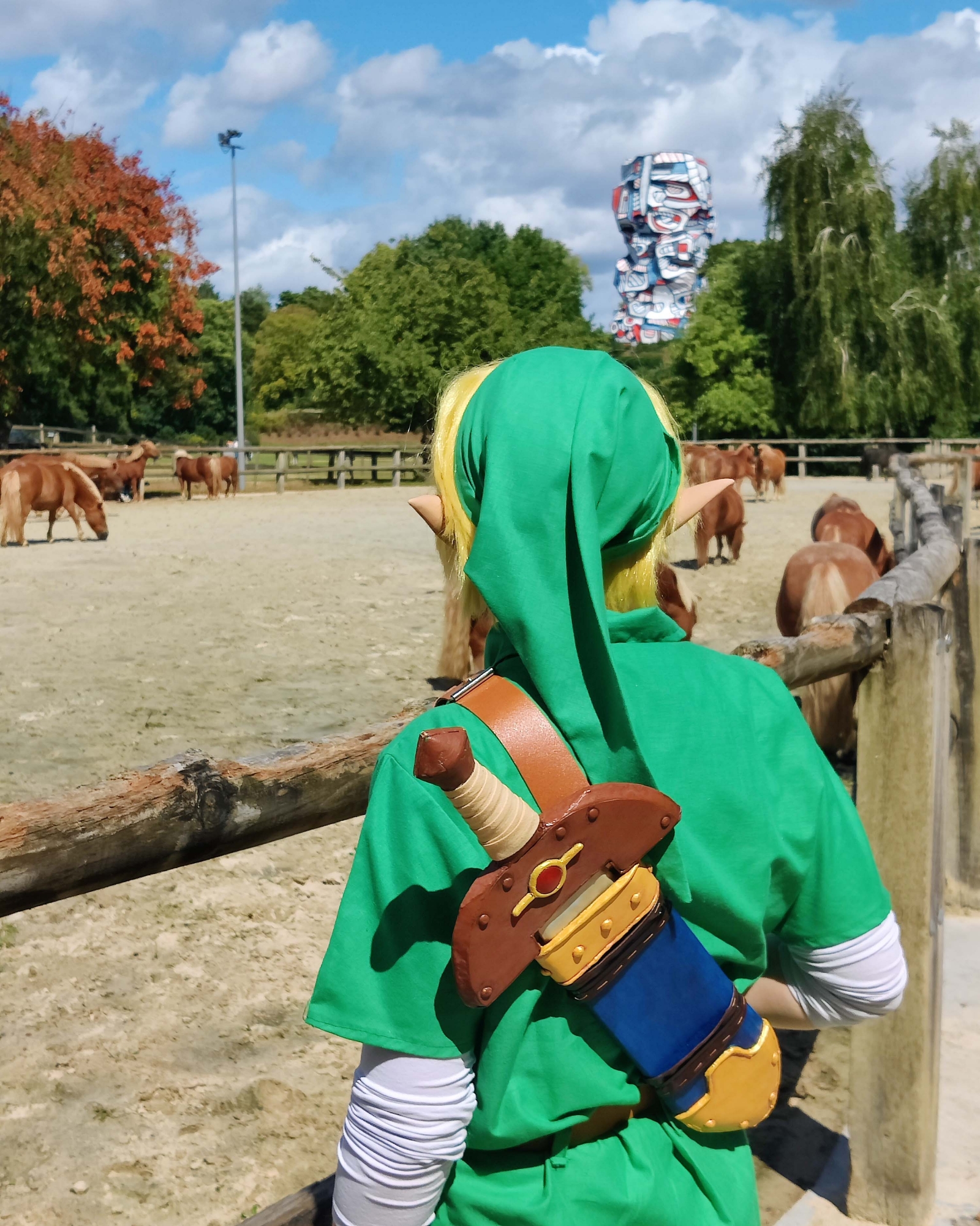 Link Lon lon - Photo 3