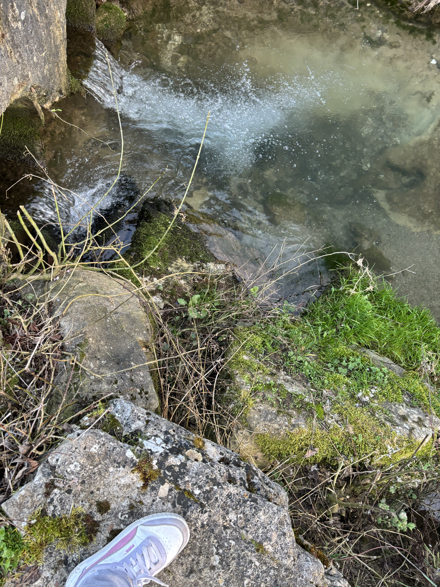 Miyo — photo 18