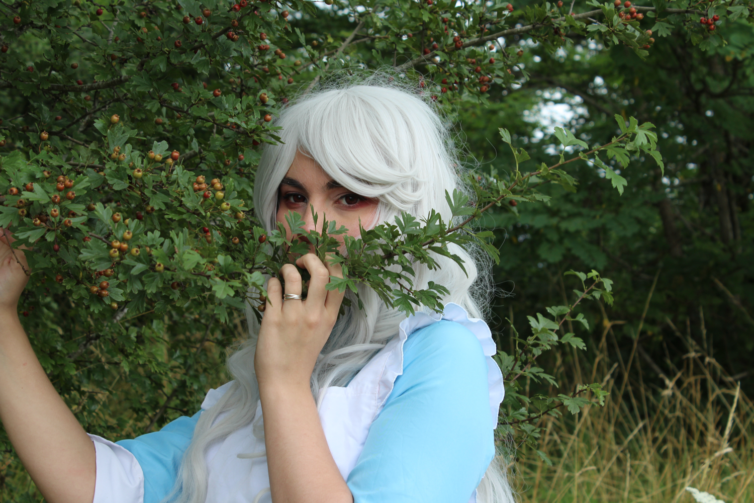 Marry Kozakura - Photo 3