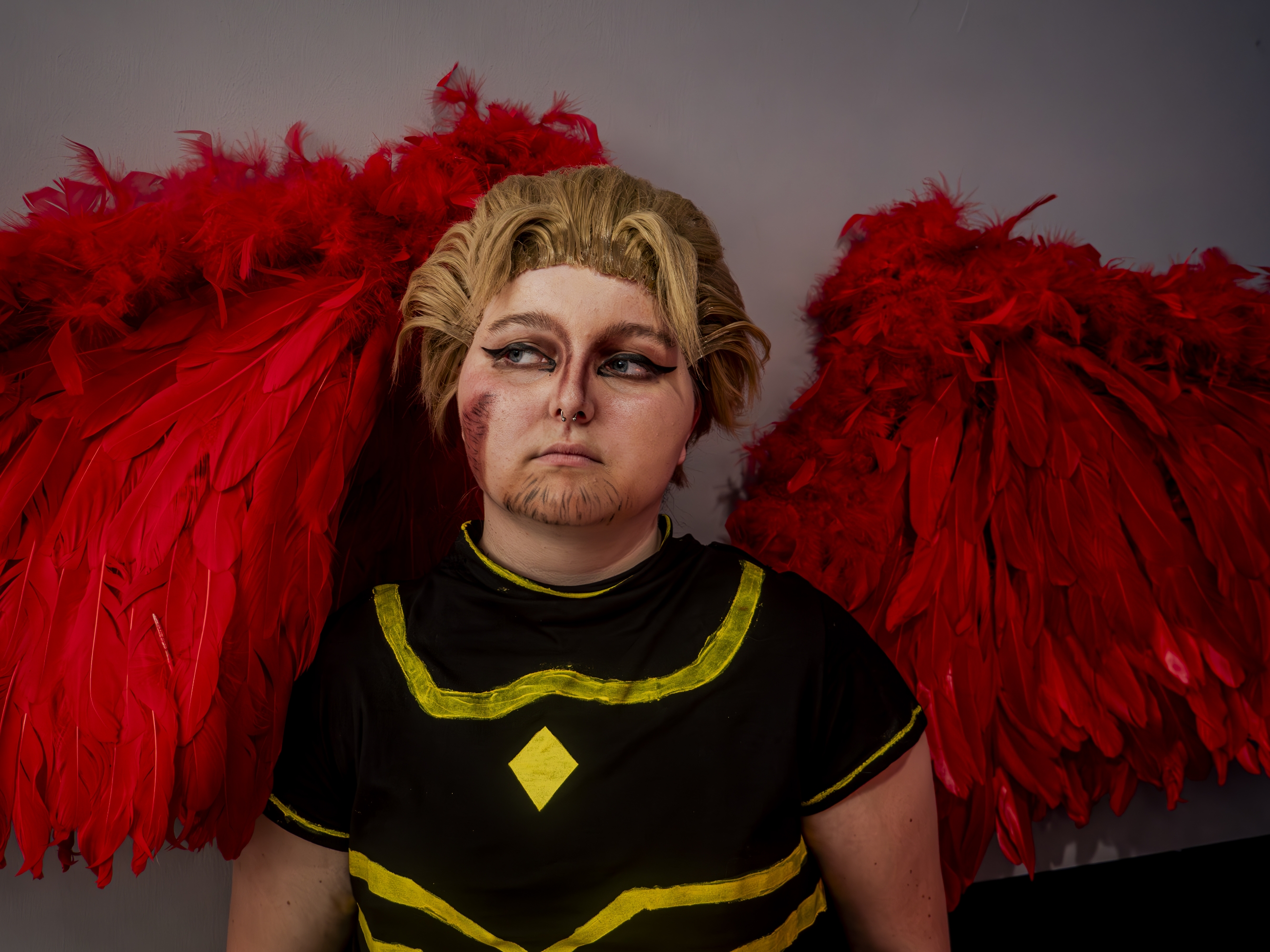 Hawks — photo 12
