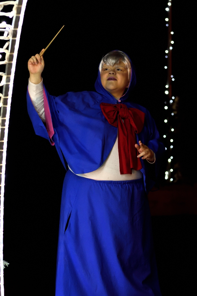 Marraine Cendrillon  - Photo 5