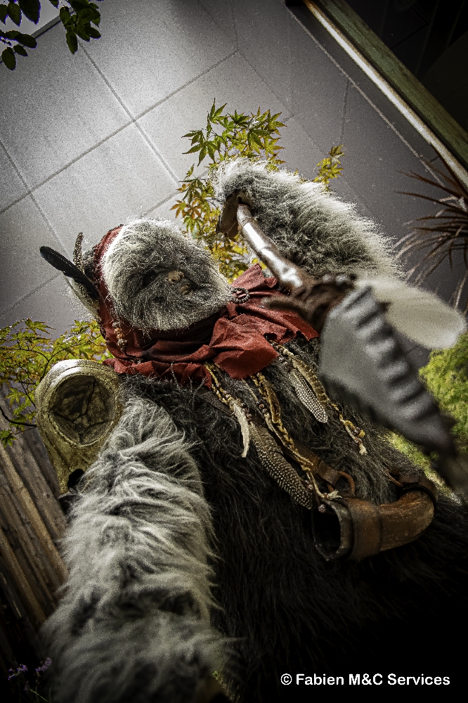 Un Ewok à Vitrolles - Photo 1