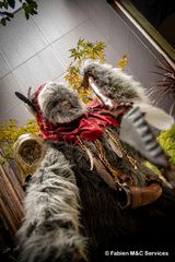 Un Ewok à Vitrolles preview 2