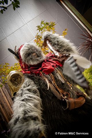 Un Ewok à Vitrolles