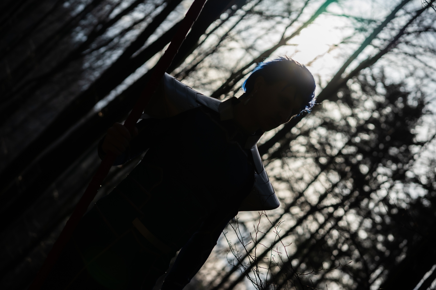 Cù Chulainn - Fate - Photo 1