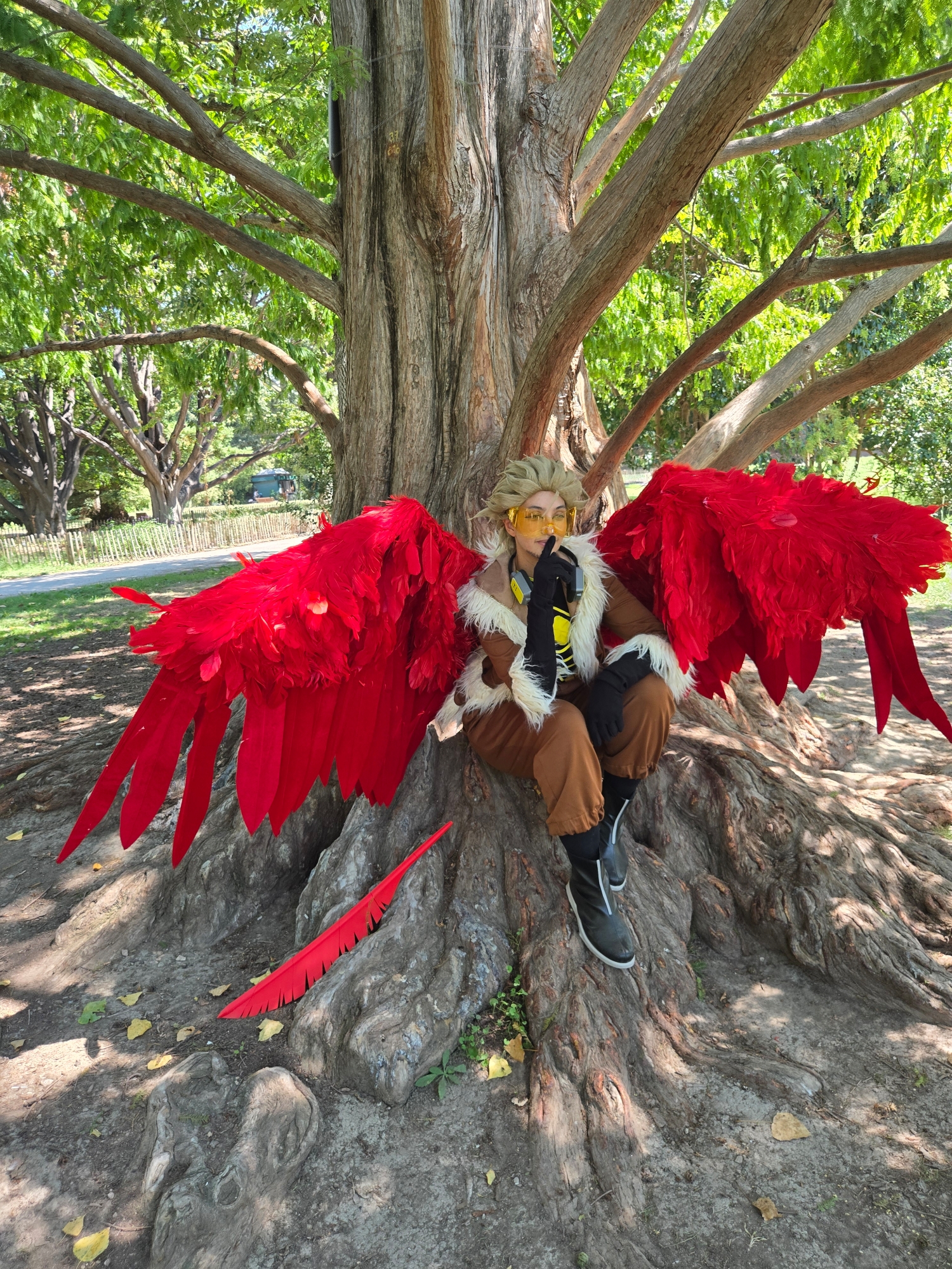 Hawks, photo 373