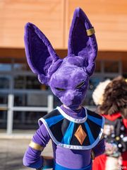 Beerus preview 2