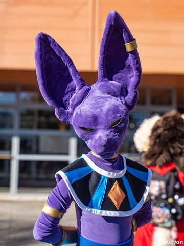 Beerus