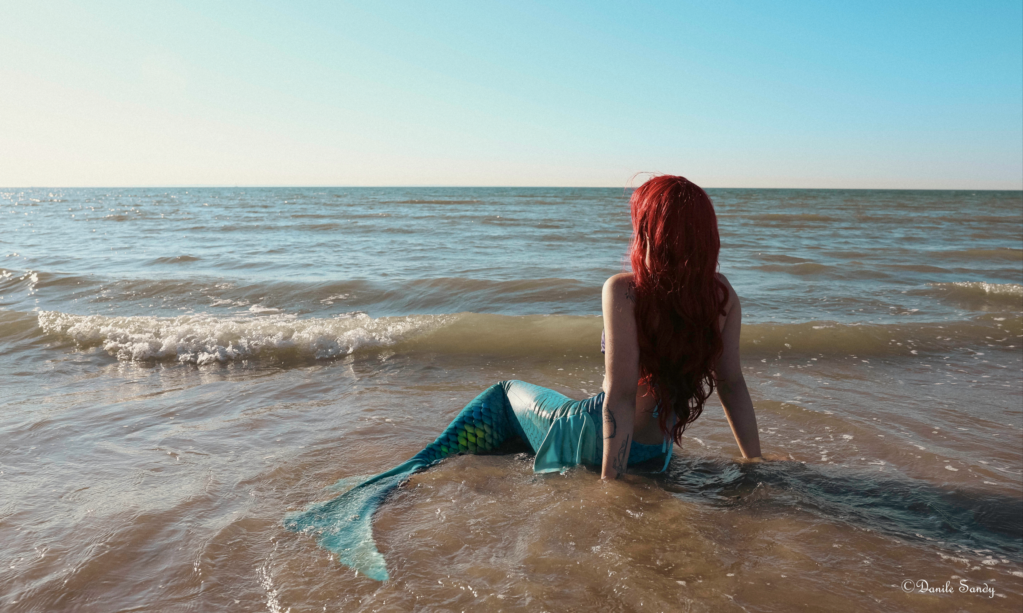 Ariel — photo 15