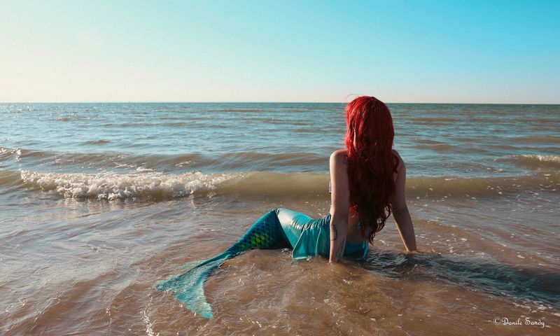 Ariel
