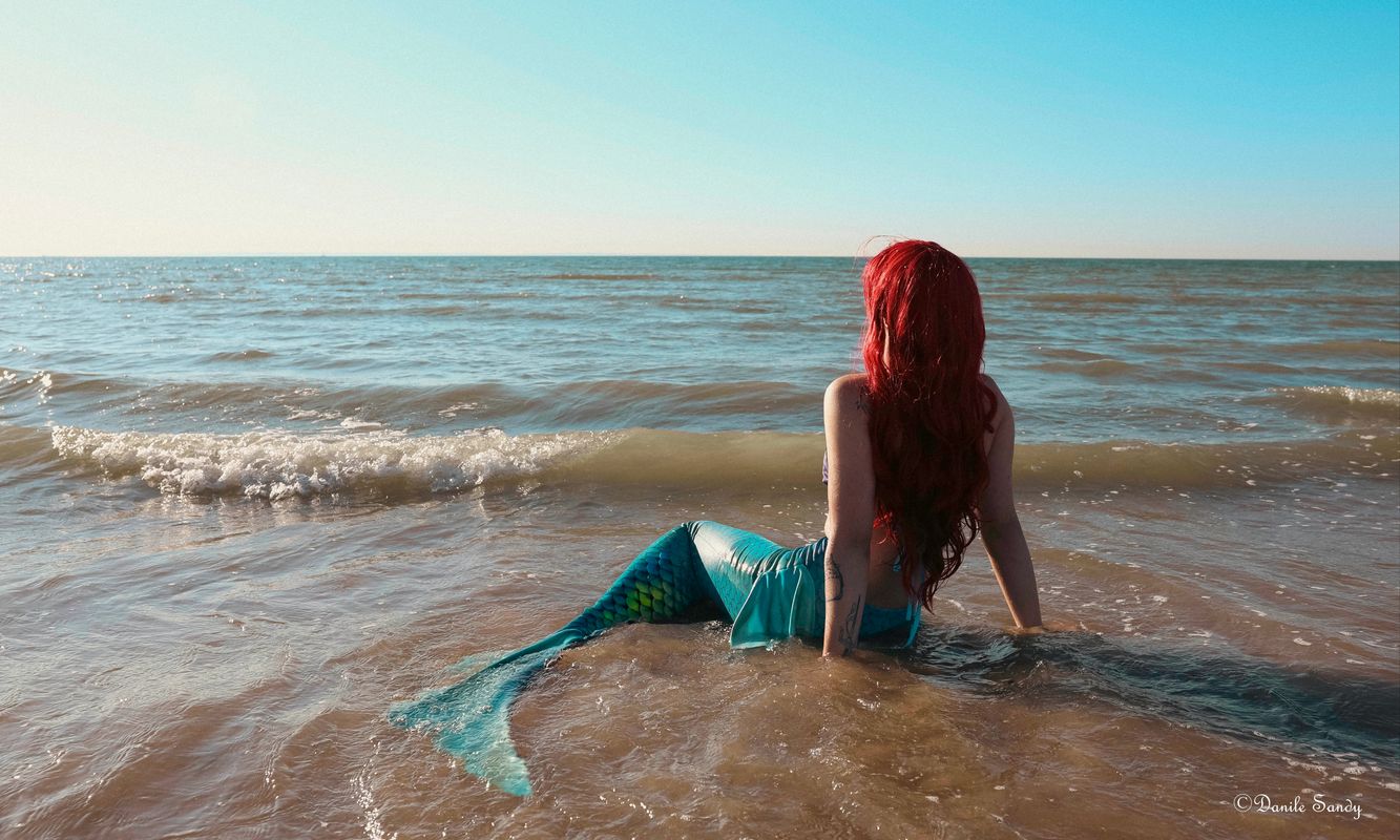 Rachel_roth_ – Ariel 