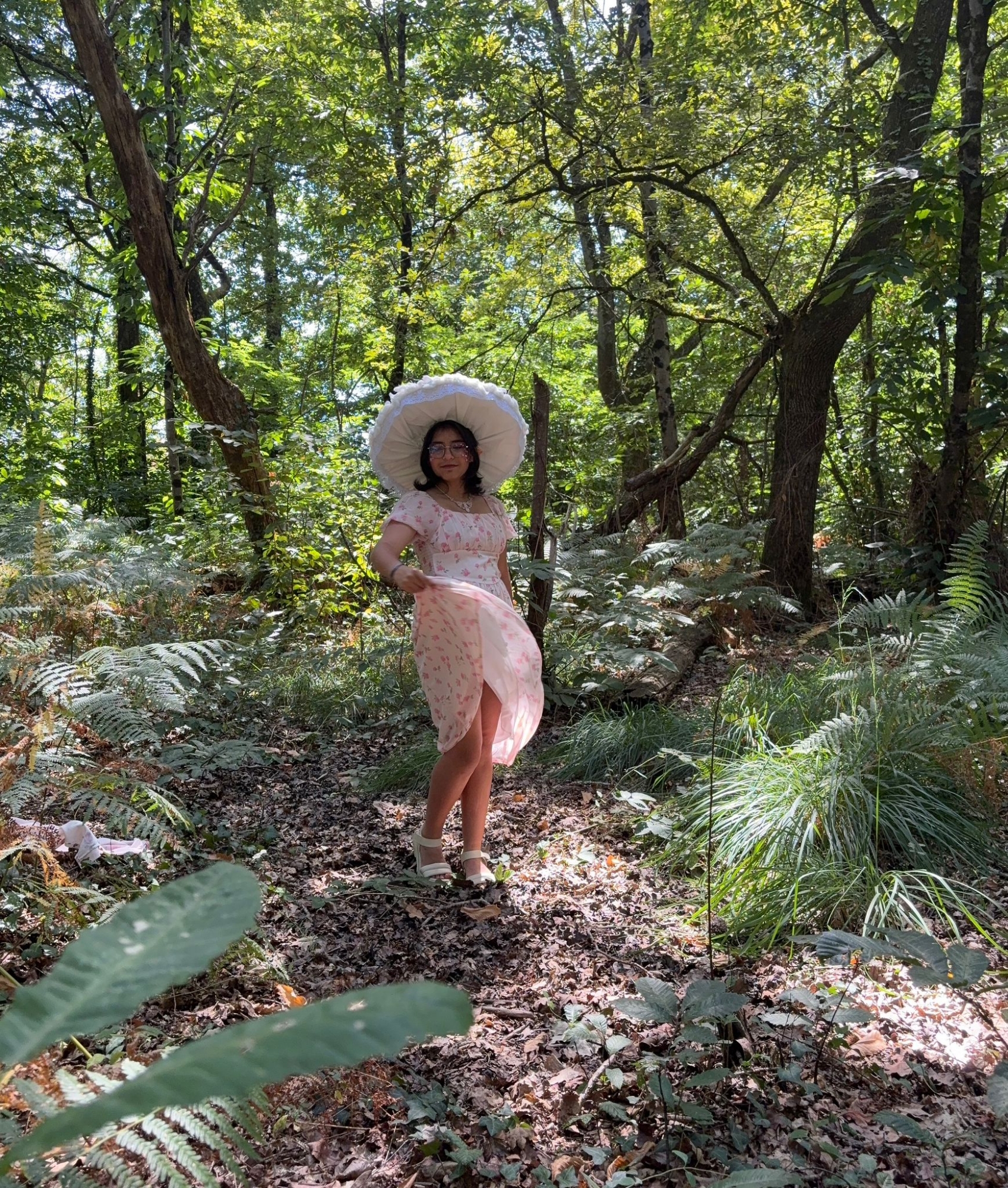 Champignon féerique  - Photo 3