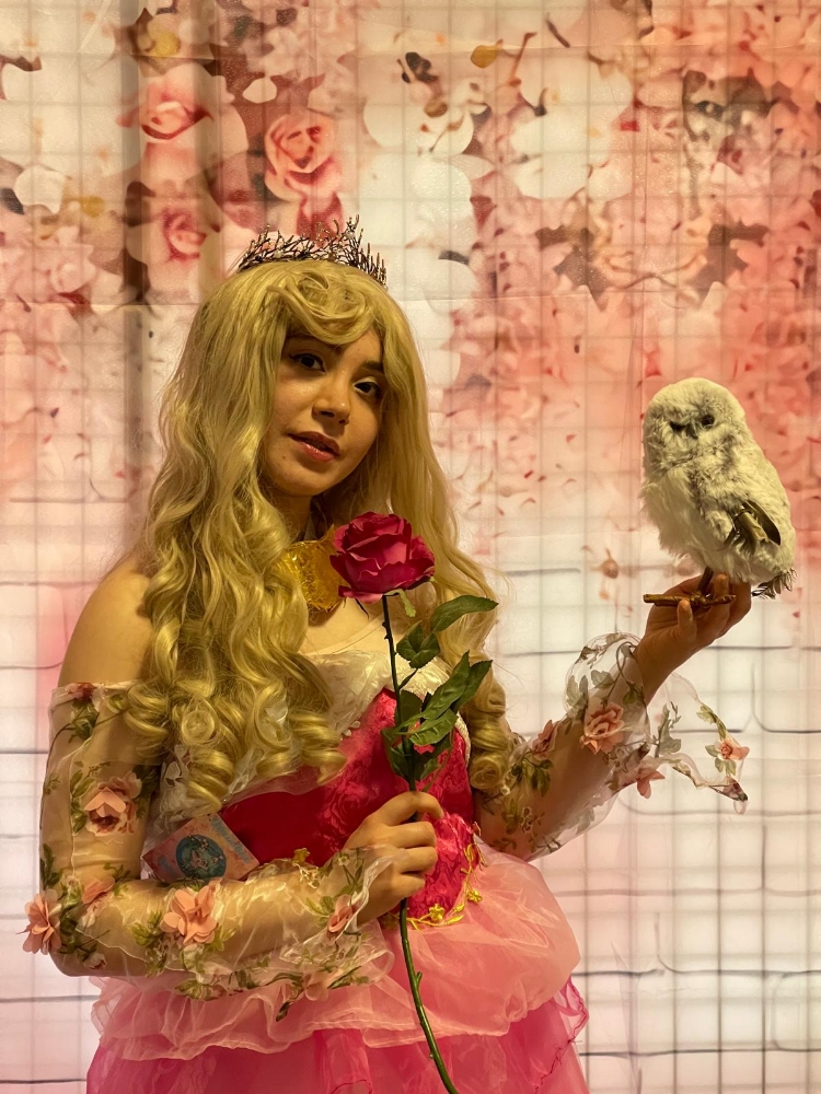 Princesse Aurore - Photo 2