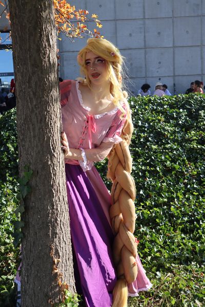 _s1lent_ech0splay, Rapunzel PM 2026