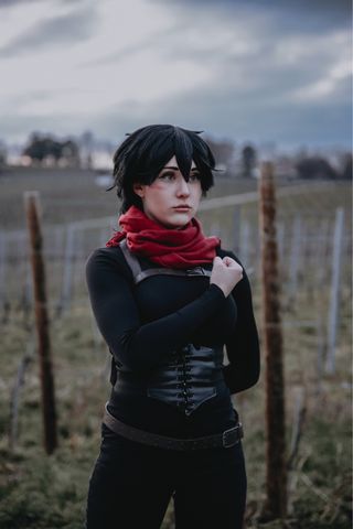 Mikasa e su casa