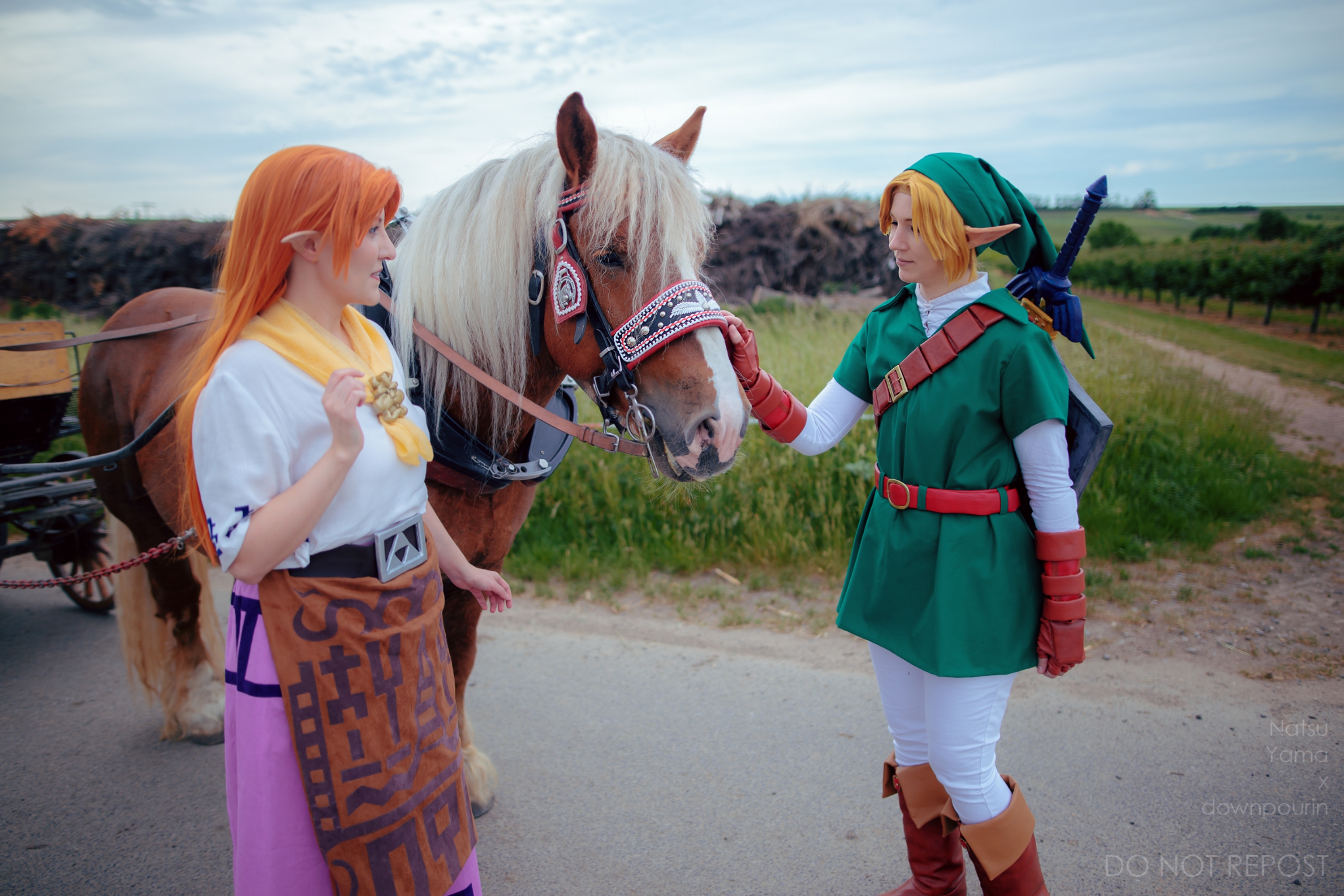 Link & Malon (Zelda) — photo 10