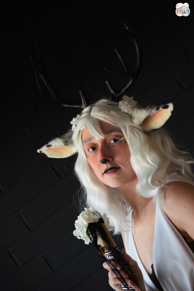 Faune noir et blanc — photo 10