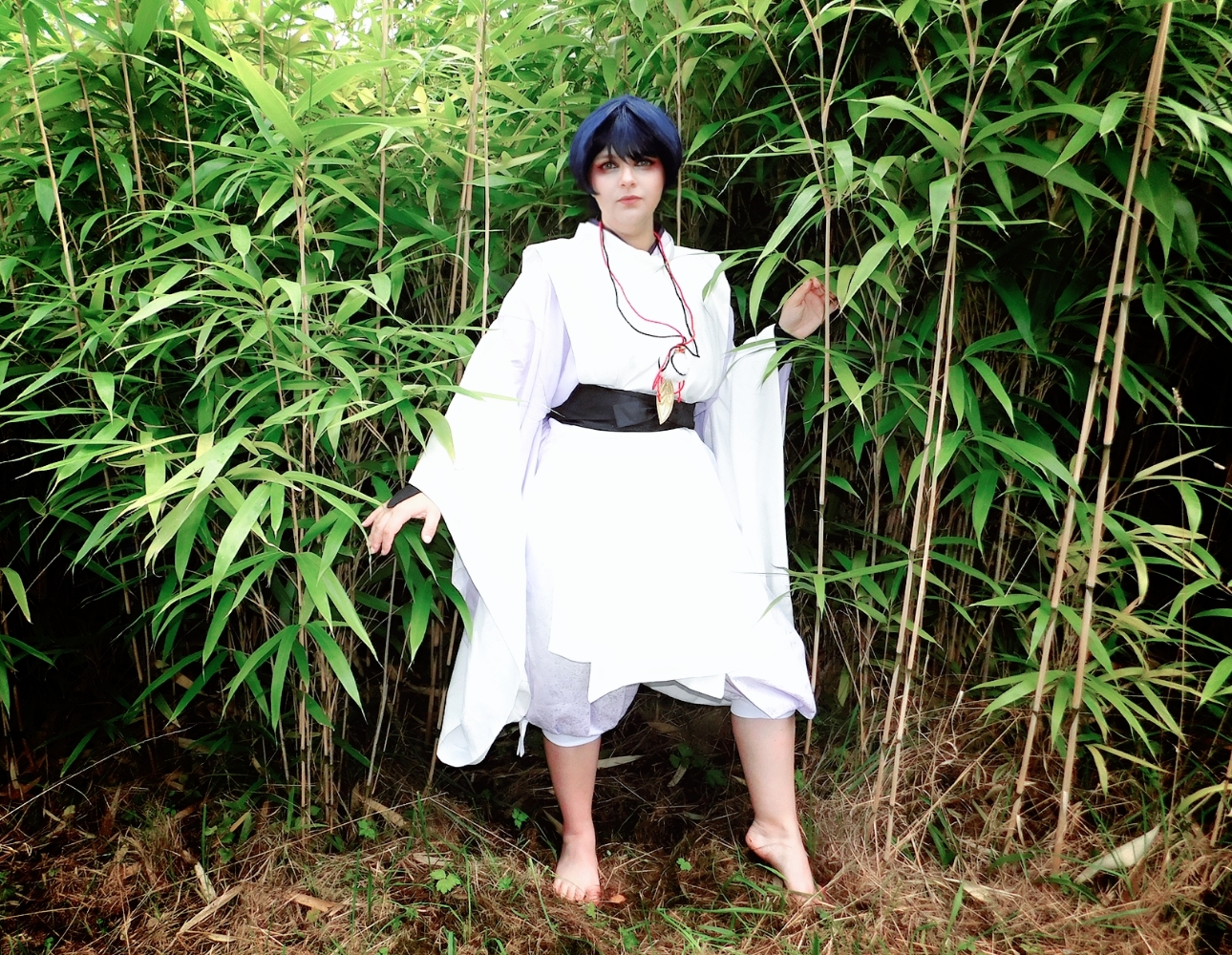 Wanderer/Scaramouche - Photo 1