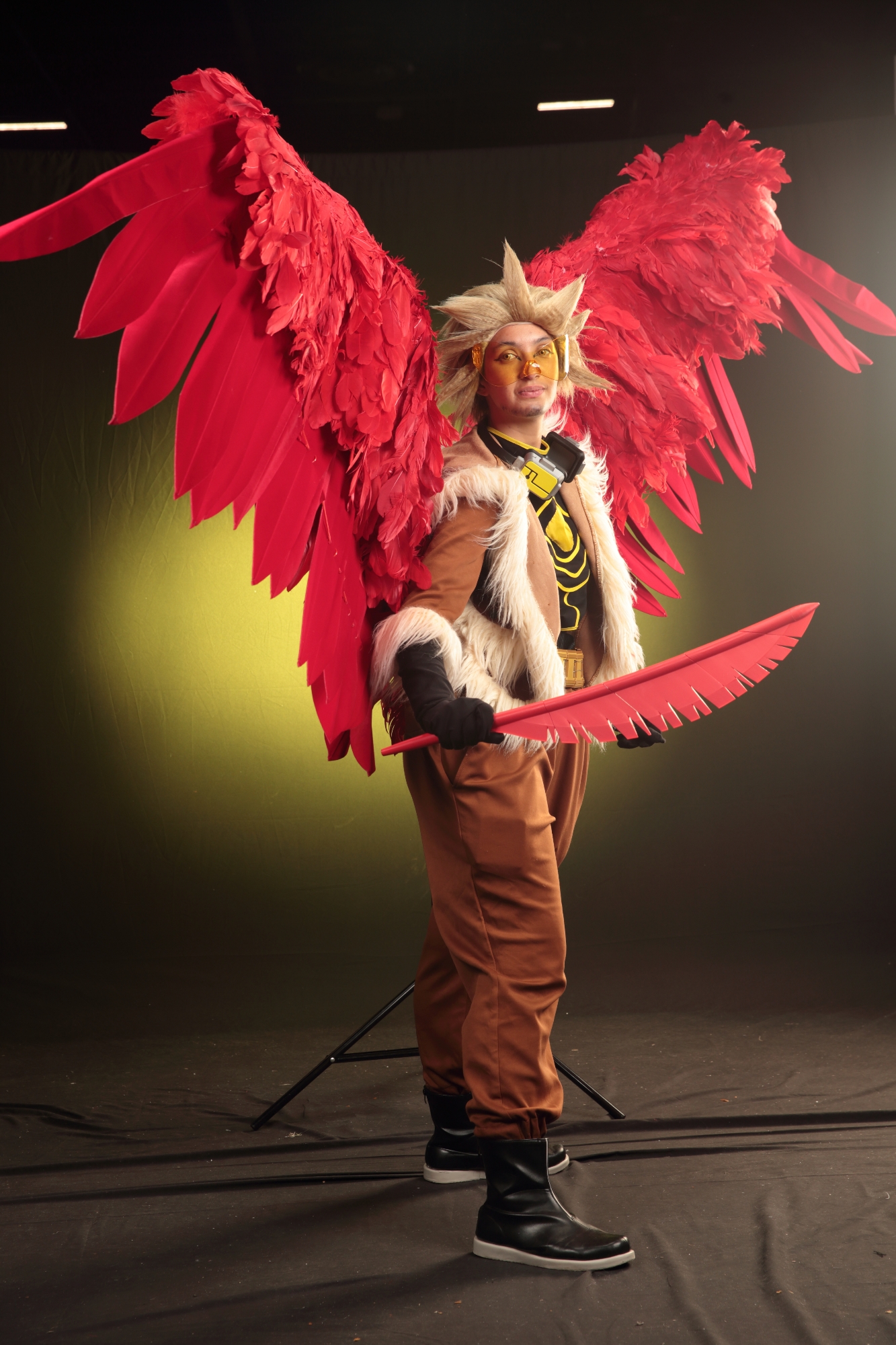 Hawks — photo 172