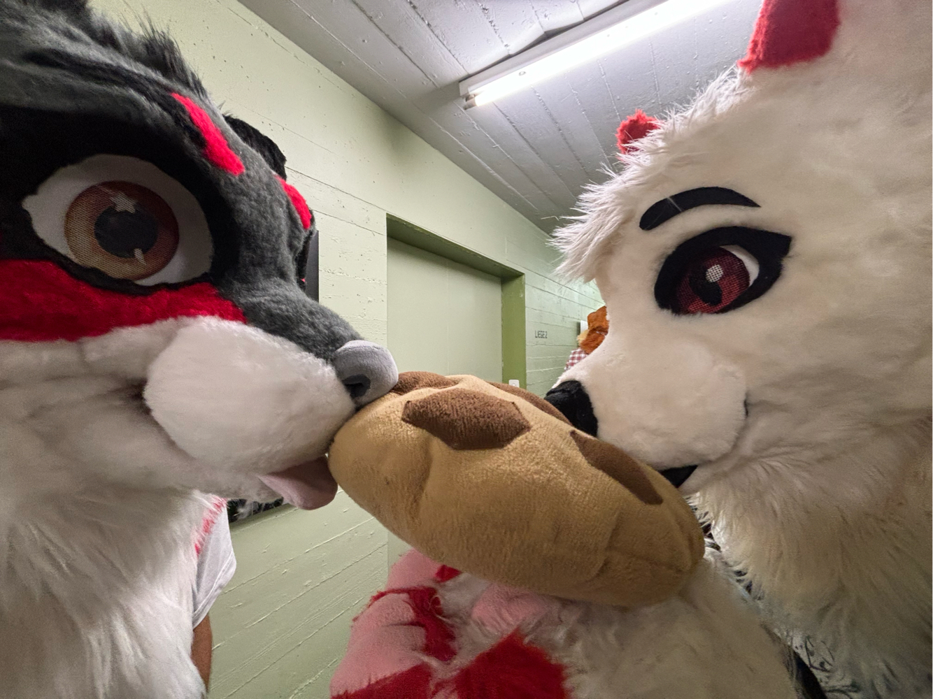 switzerland - Photo 5