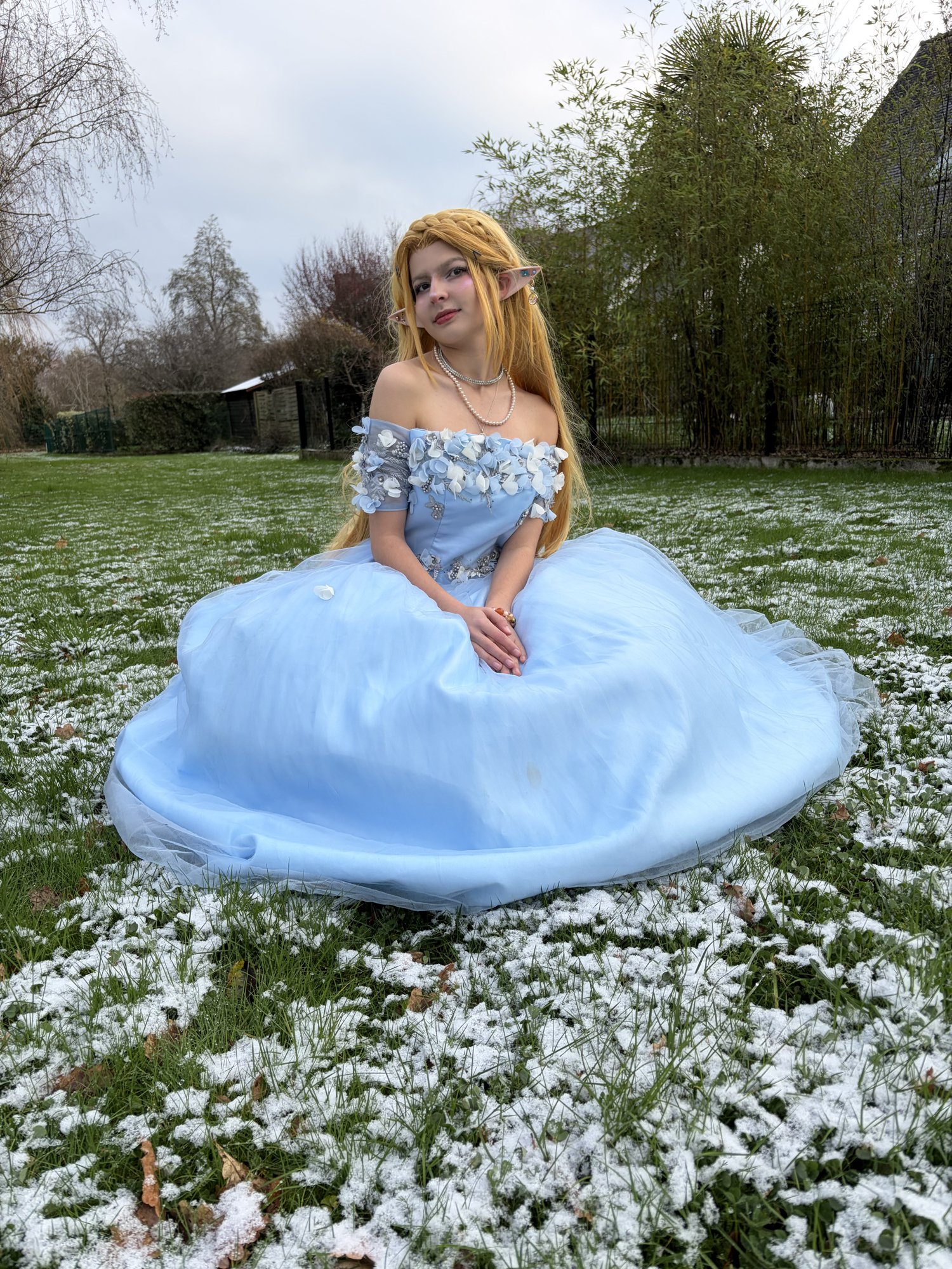 Zelda snow — photo 5
