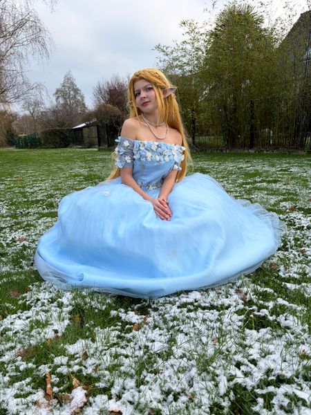 Tortue - Zelda snow 