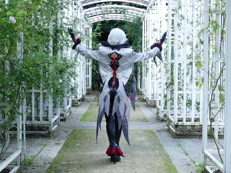 Enarcissus - Arlecchino