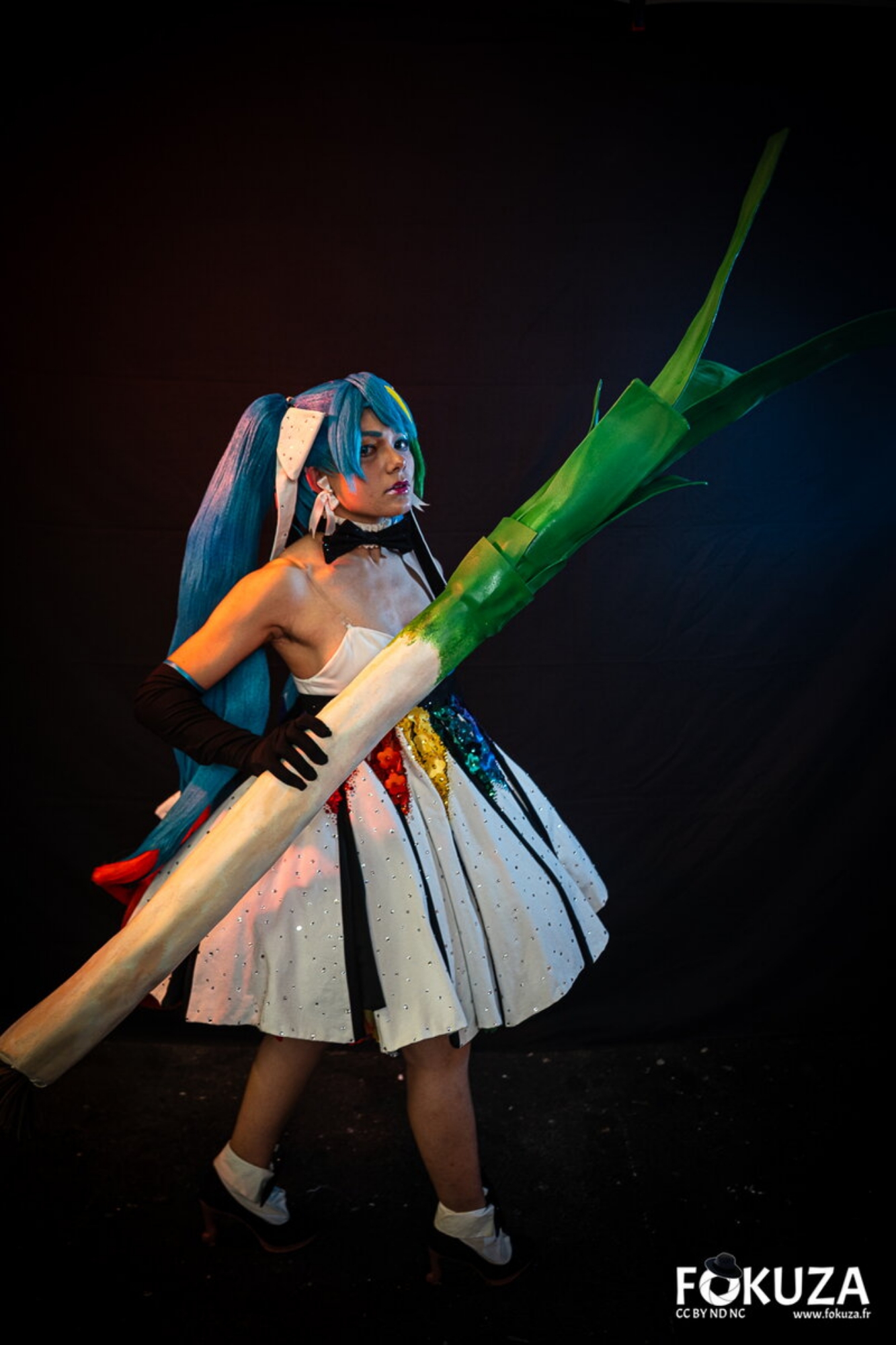 Miku Pride — photo 13