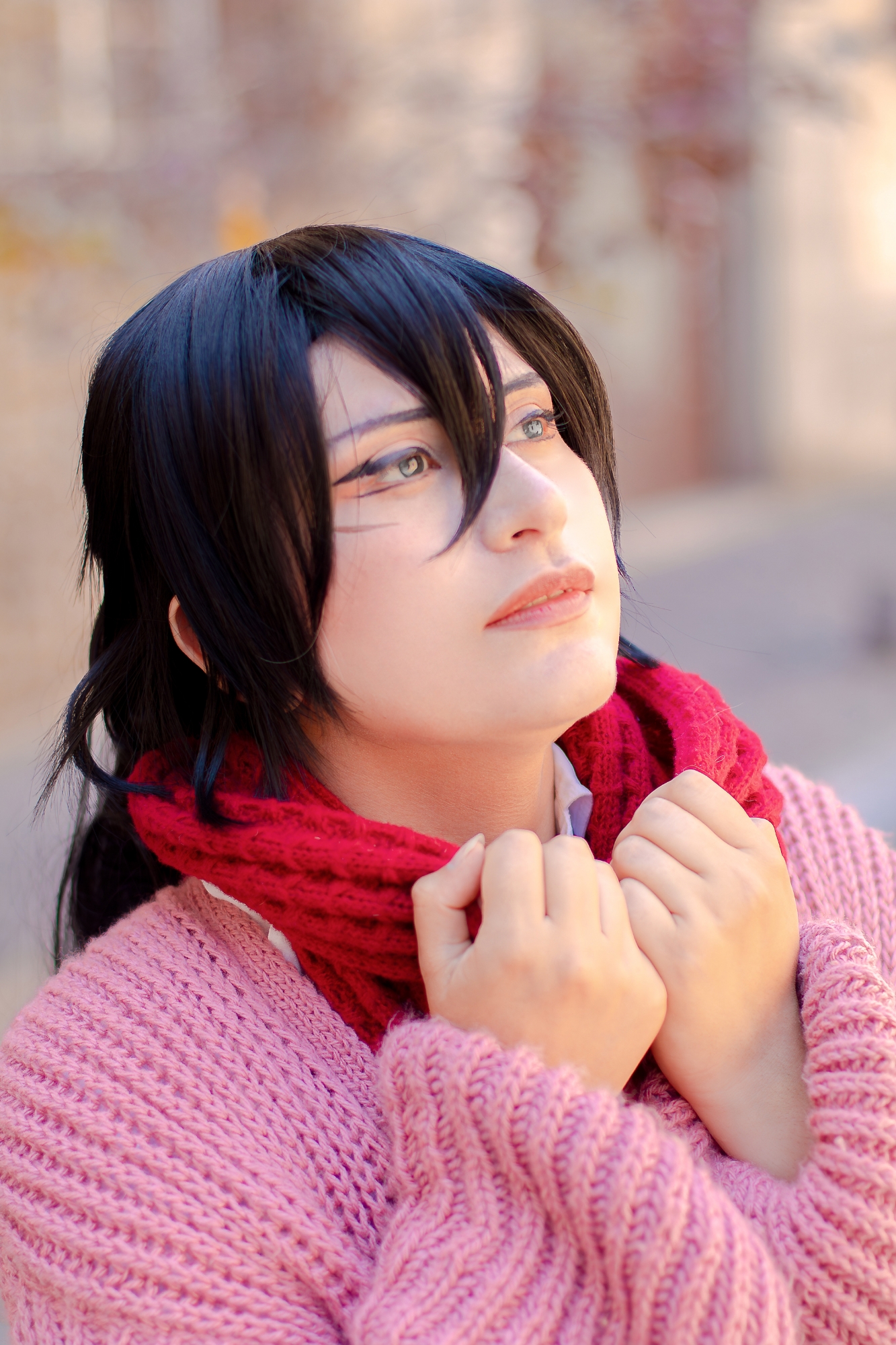 Mikasa final — photo 11