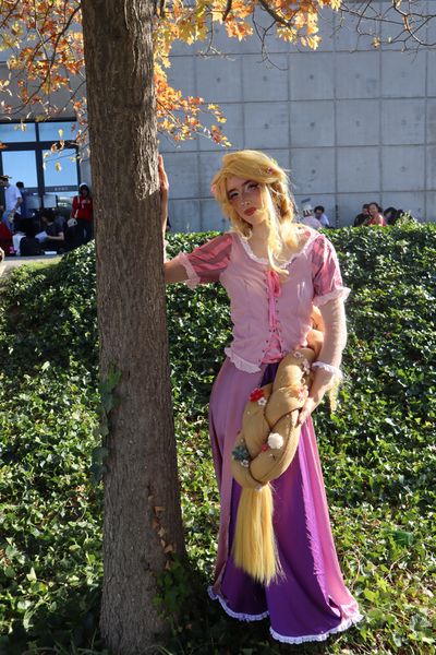 _s1lent_ech0splay, Rapunzel PM 2026