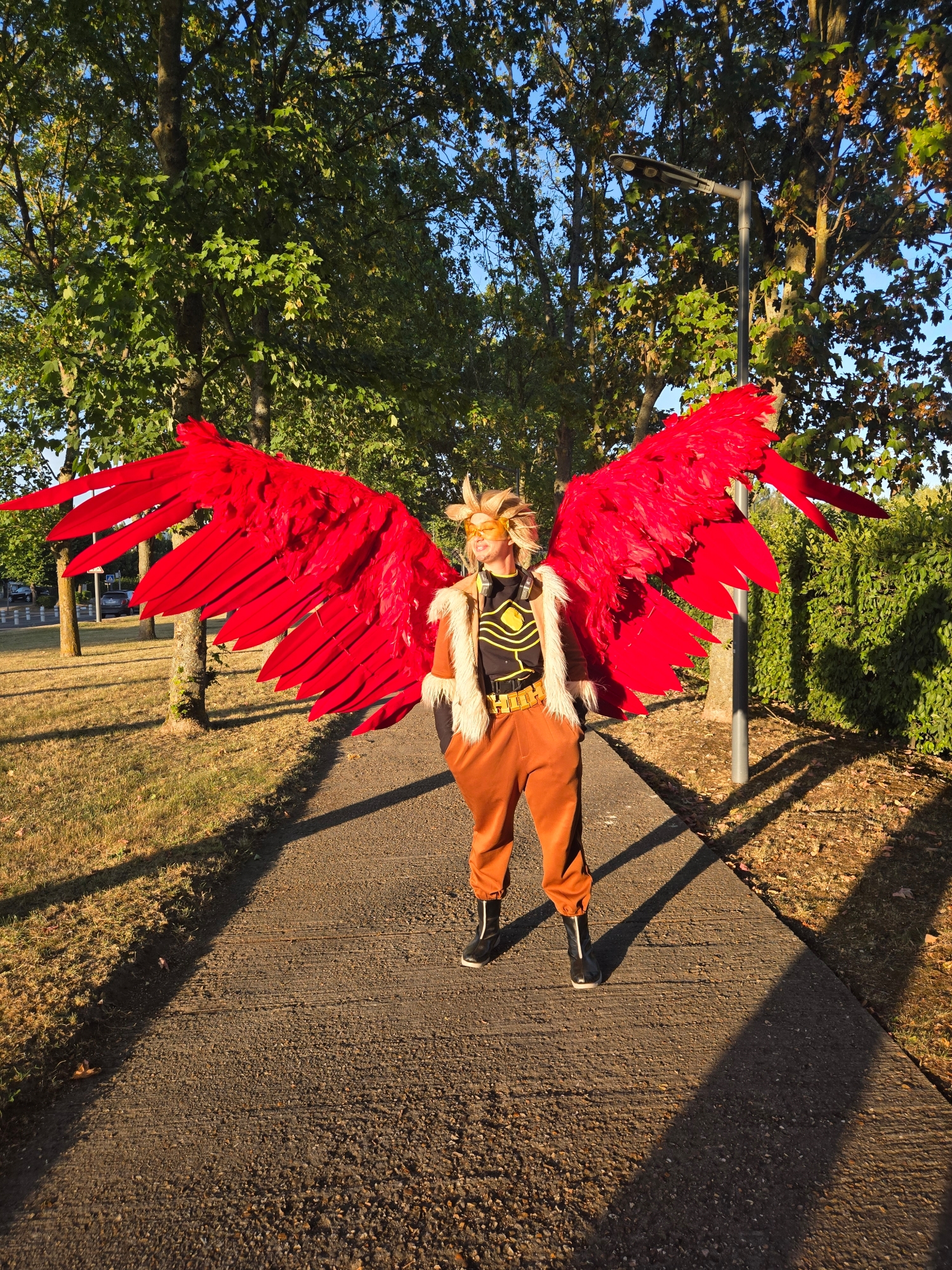 Hawks — photo 130