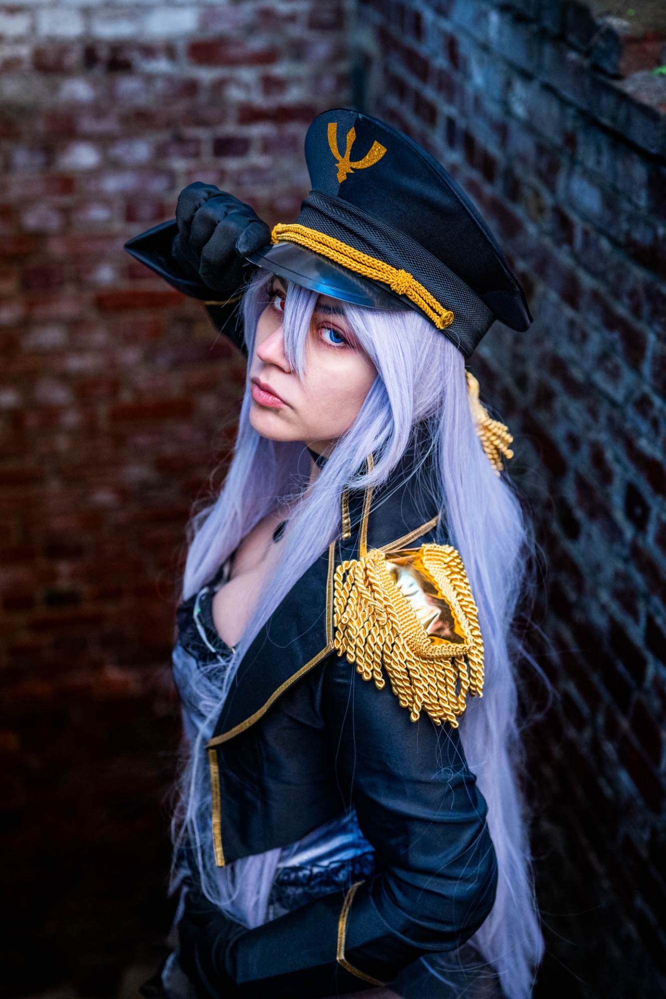 Black lobelia  - Photo 13