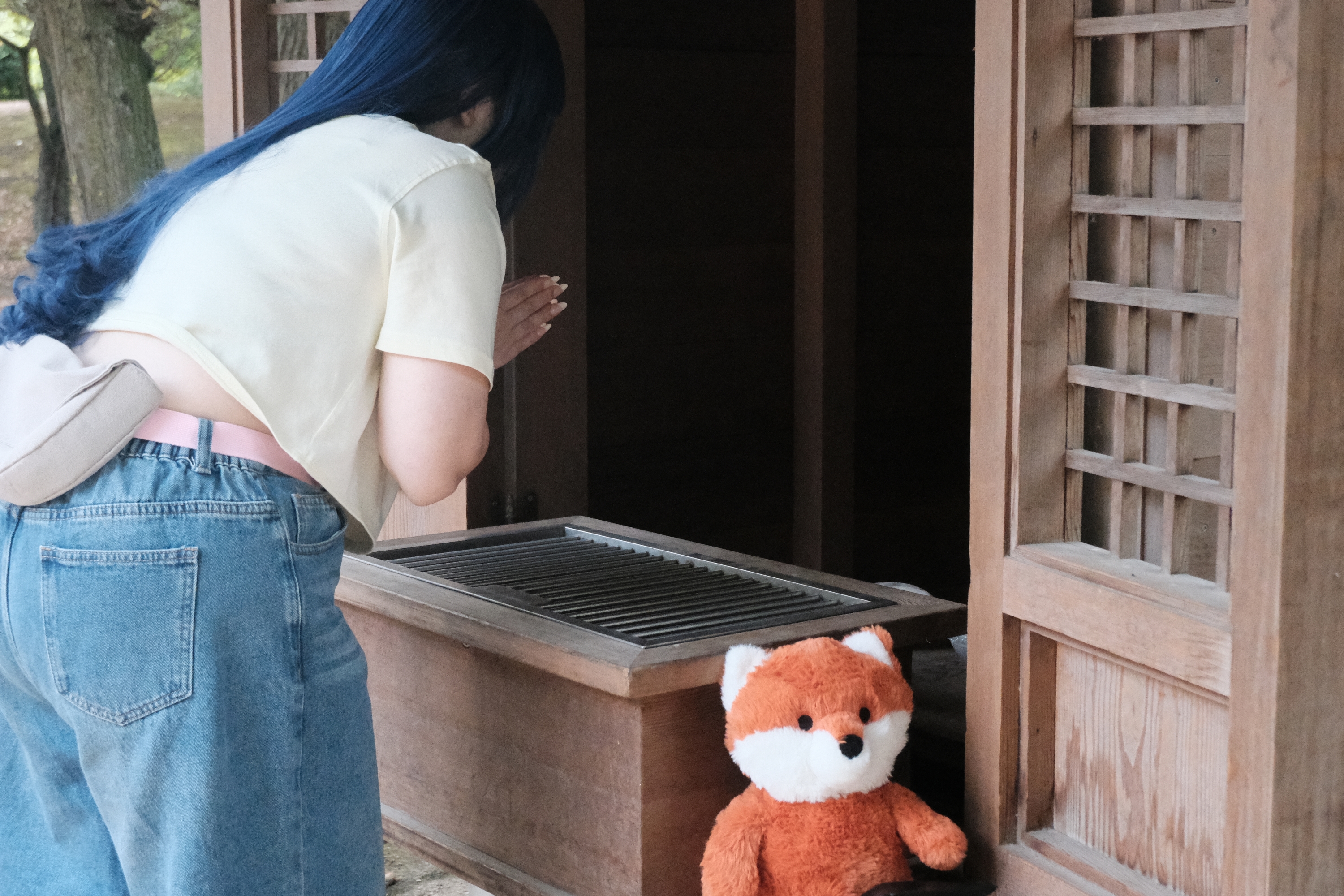 Himawari  - Photo 39