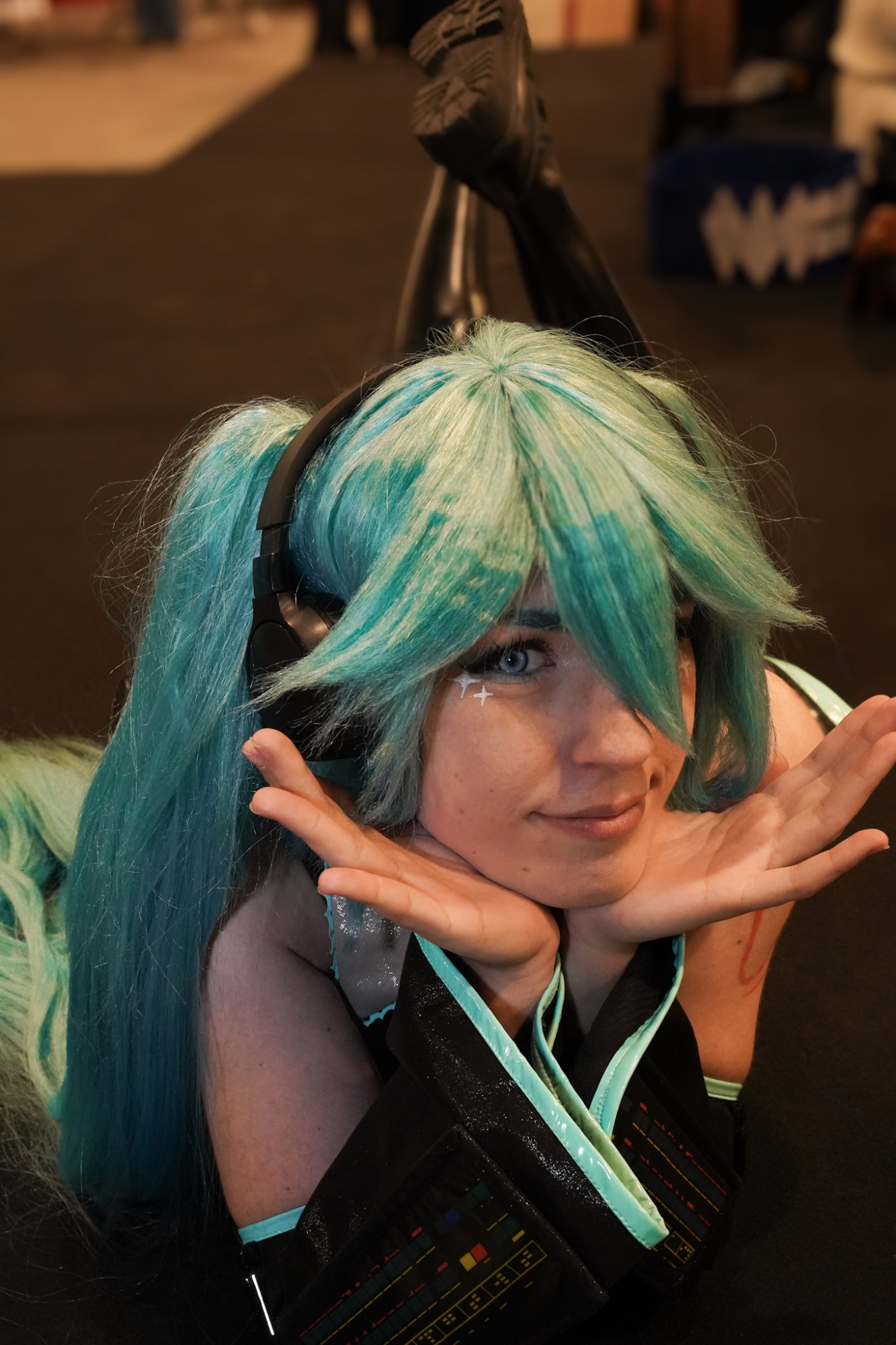 Miku — photo 14