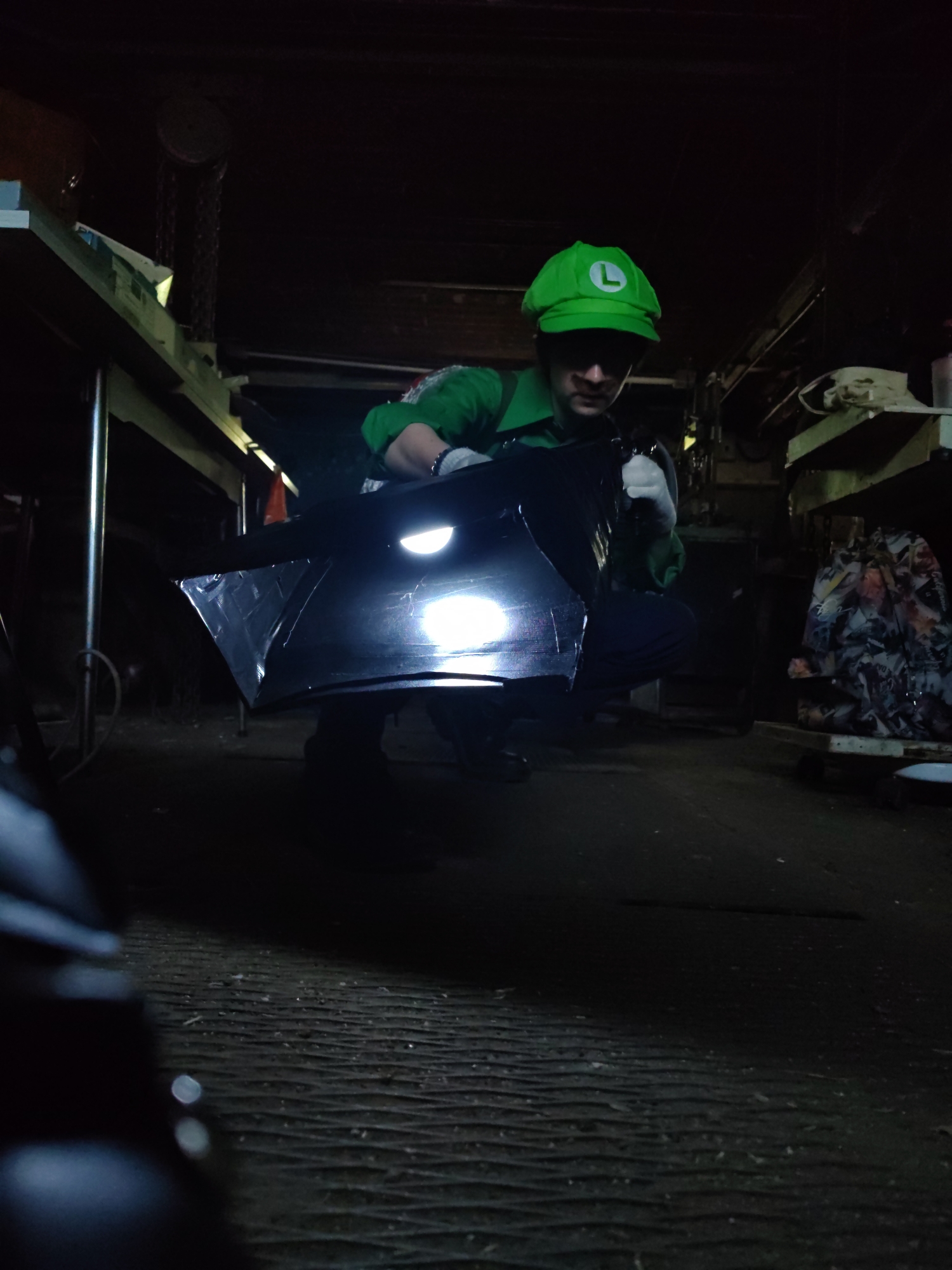 Luigi — photo 7