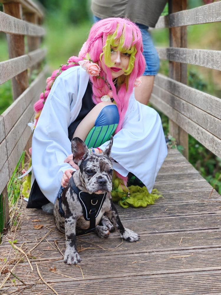 Mitsuri kanroji — photo 8