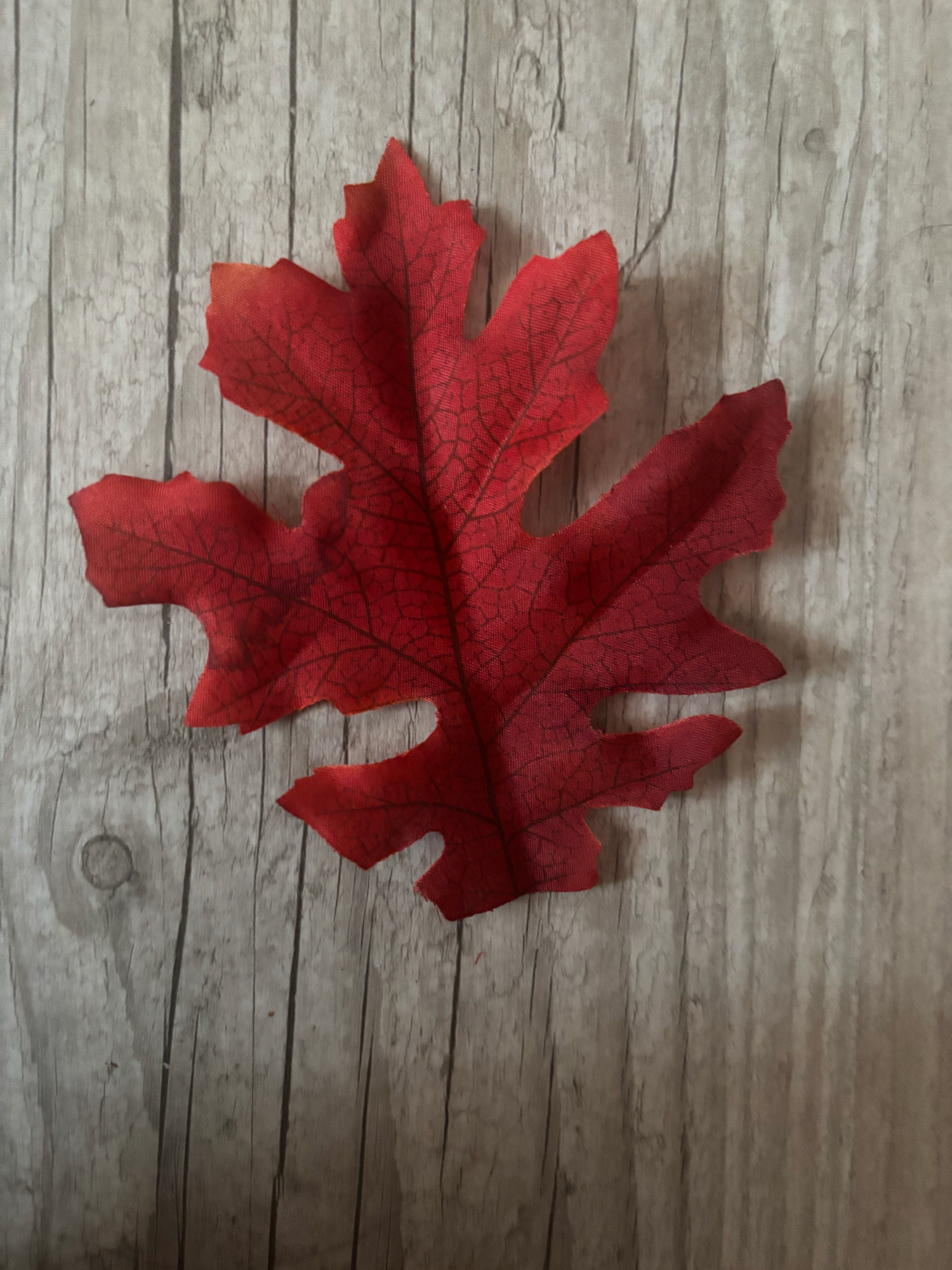 Feuille (Mao Mao) - Photo 6