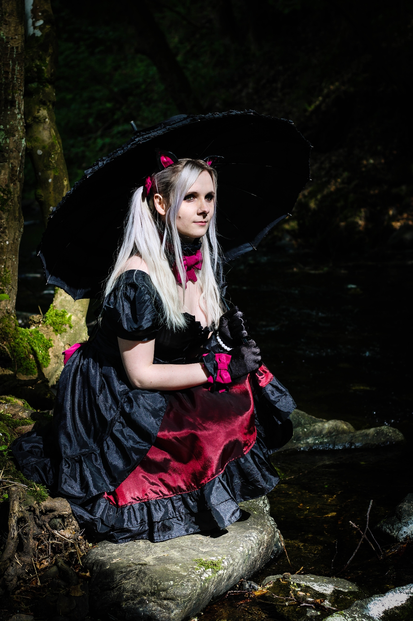 Black Cat DVA — photo 8