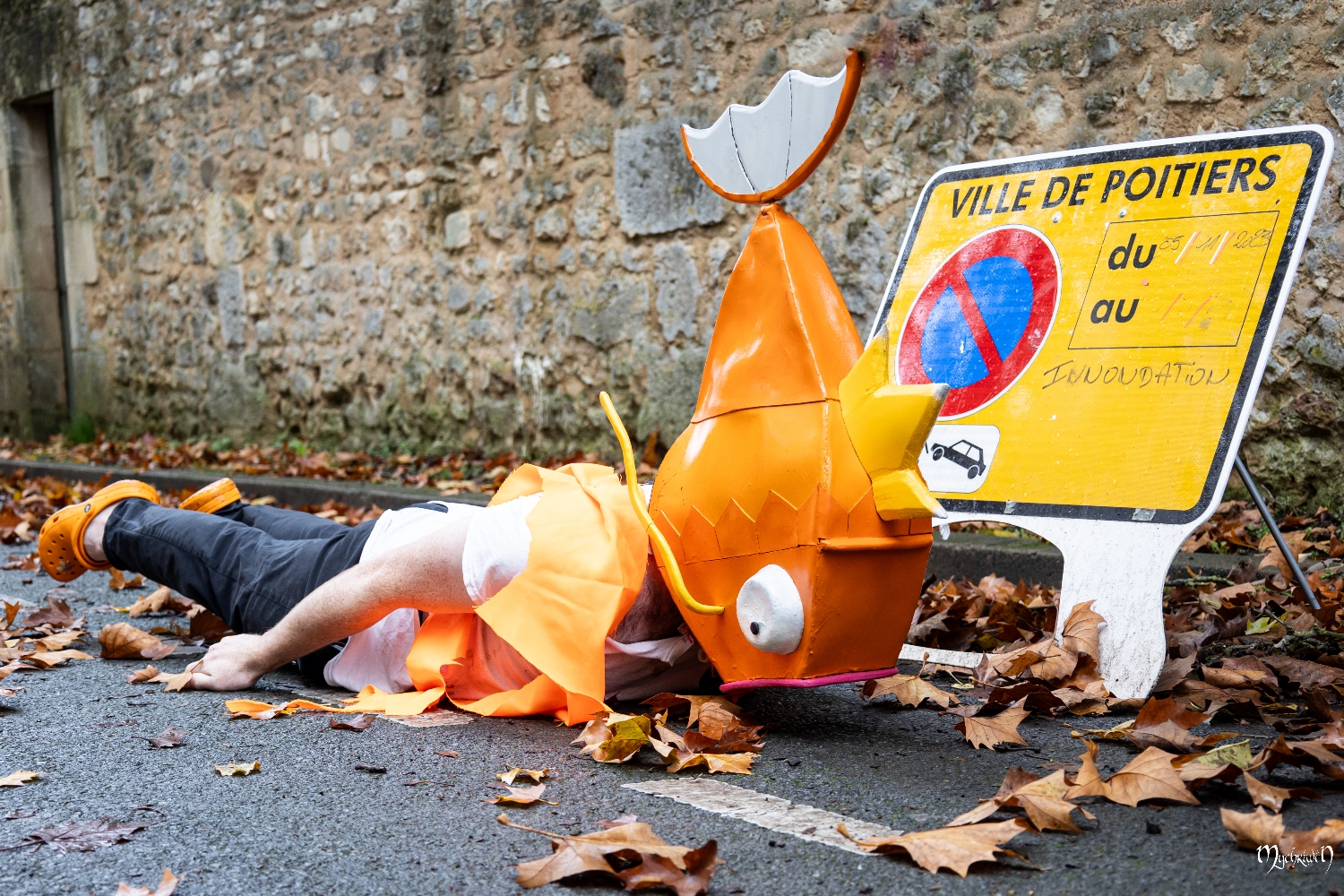 Gare à Pict'Asia - Photo 1