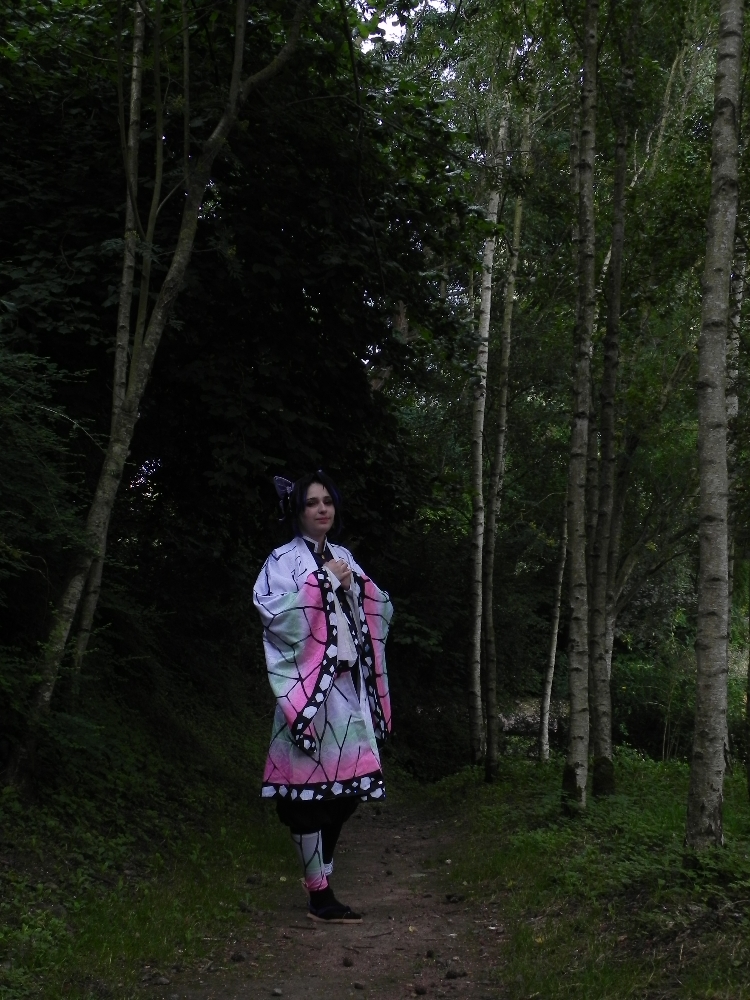 Kocho Shinobu - Photo 5