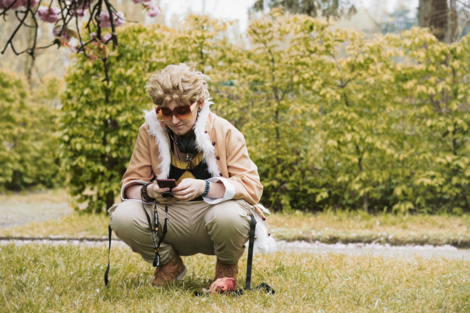 Hawks — photo 31