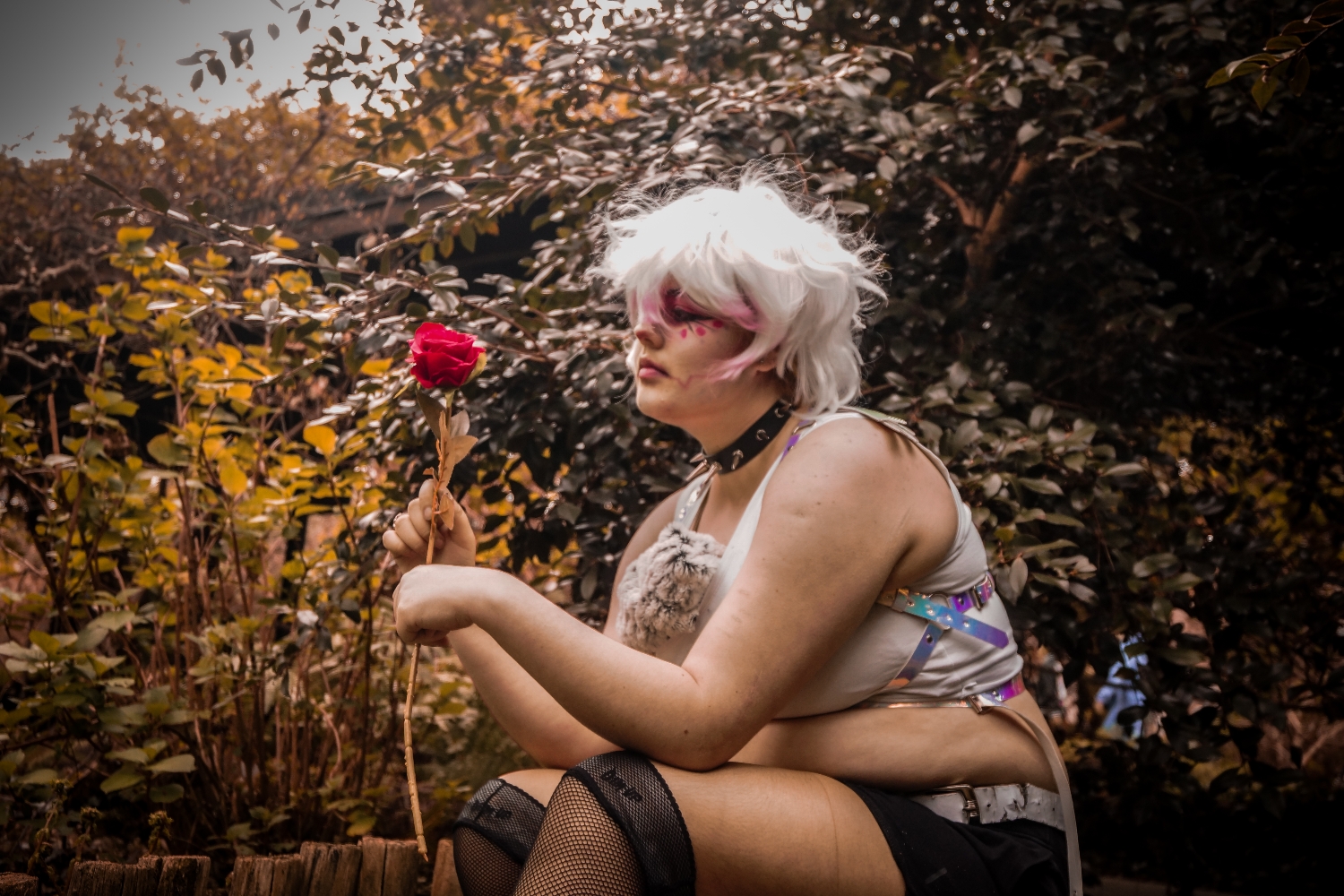 Angel Dust - Photo 2