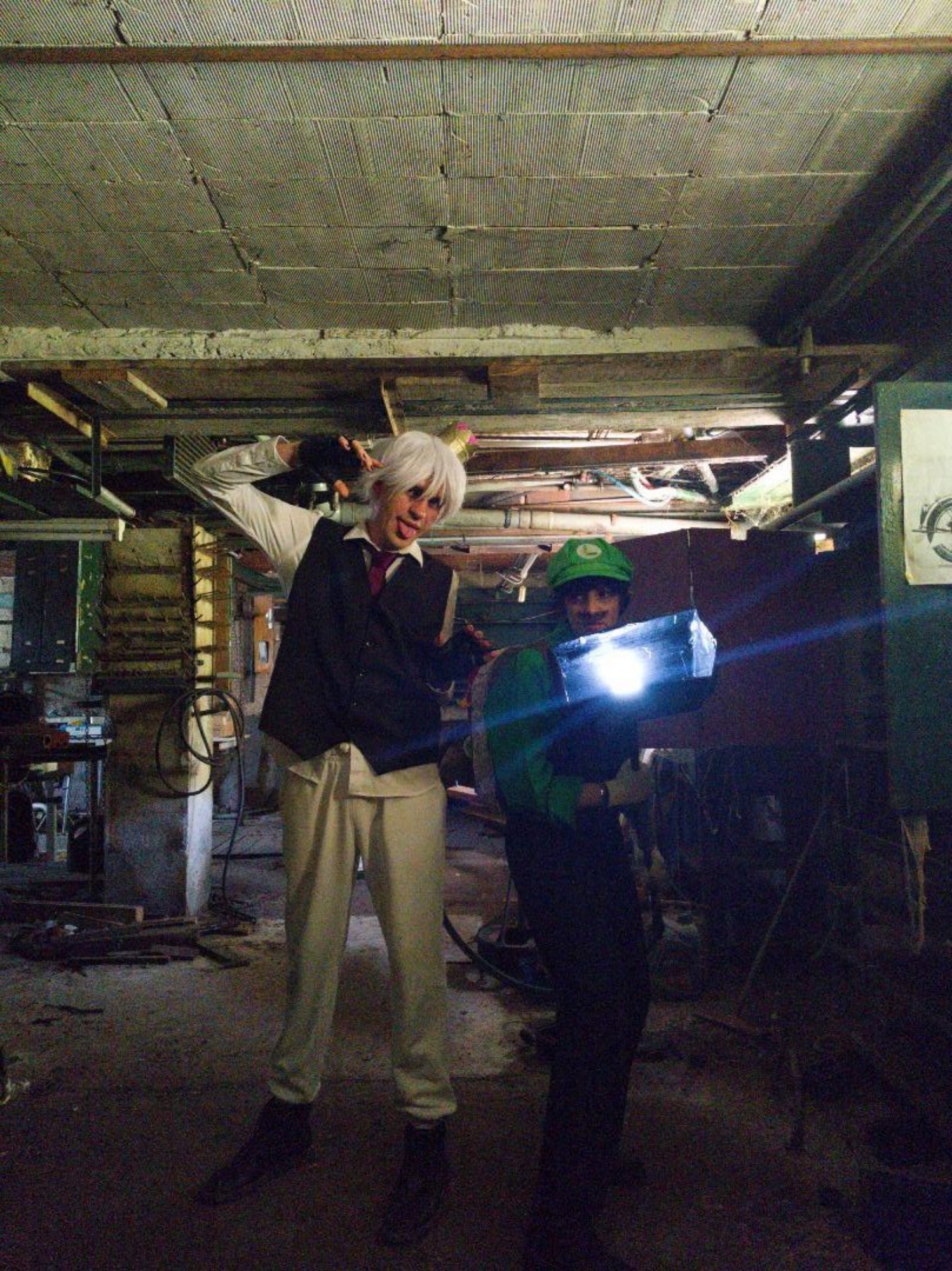 Luigi mansion — photo 6