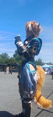Gorou preview 3