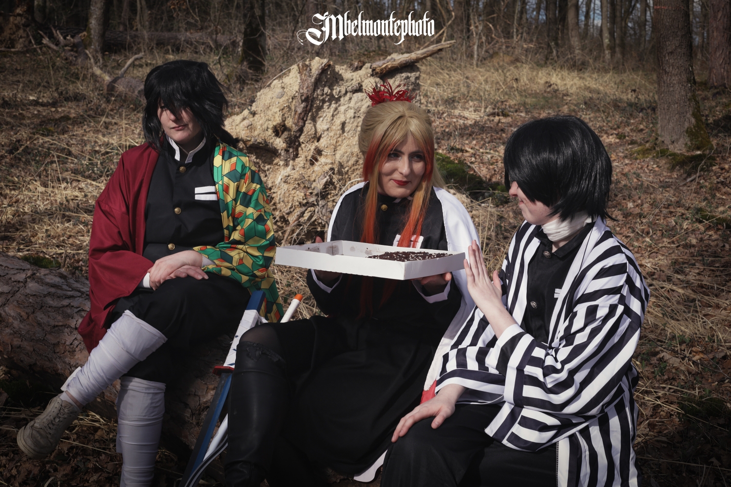 Demon slayer  - Photo 13