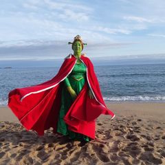 Fiona preview 2
